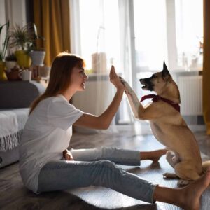 Komunikace psů aneb co říká můj pes