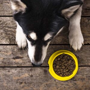 Nadměrná ochrana zdrojů - zdrojová agrese