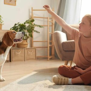 Zažeňte nudu aneb Hry na doma