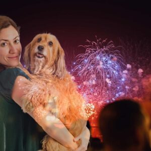 Jak se psem zvládnout Silvestr, stresové situace a hyperaktivitu