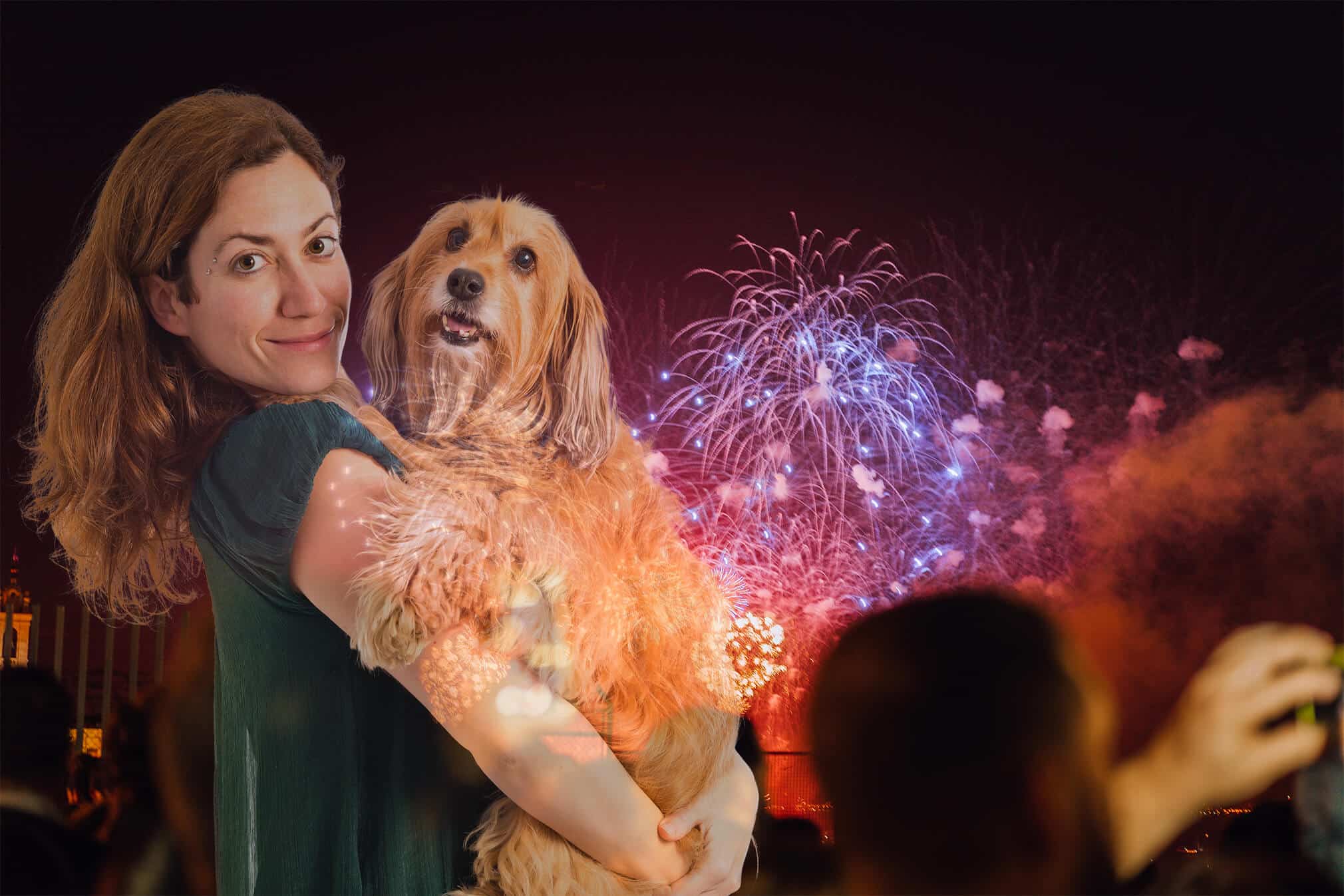 Jak se psem zvládnout Silvestr, stresové situace a hyperaktivitu